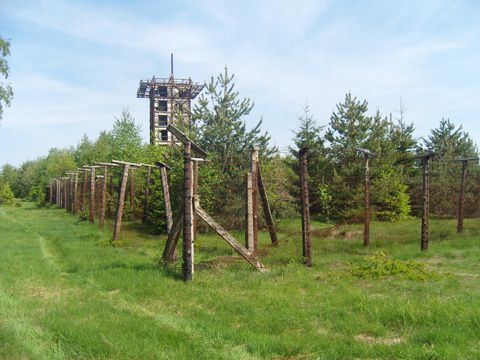 Foto 61